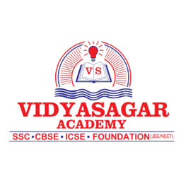 Vidyasagar Academy logo